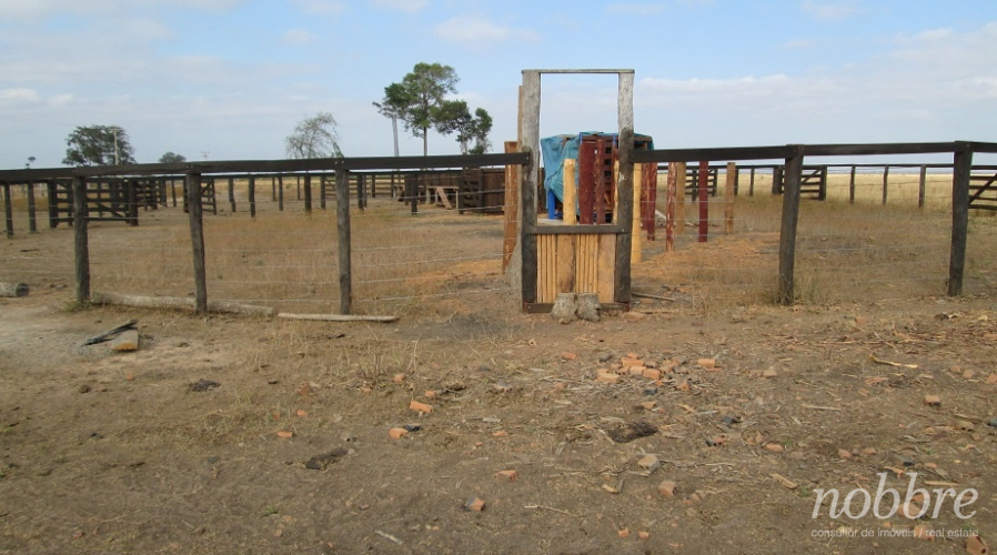 Fazenda para pecuária a venda no Maranhão - Grajaú.